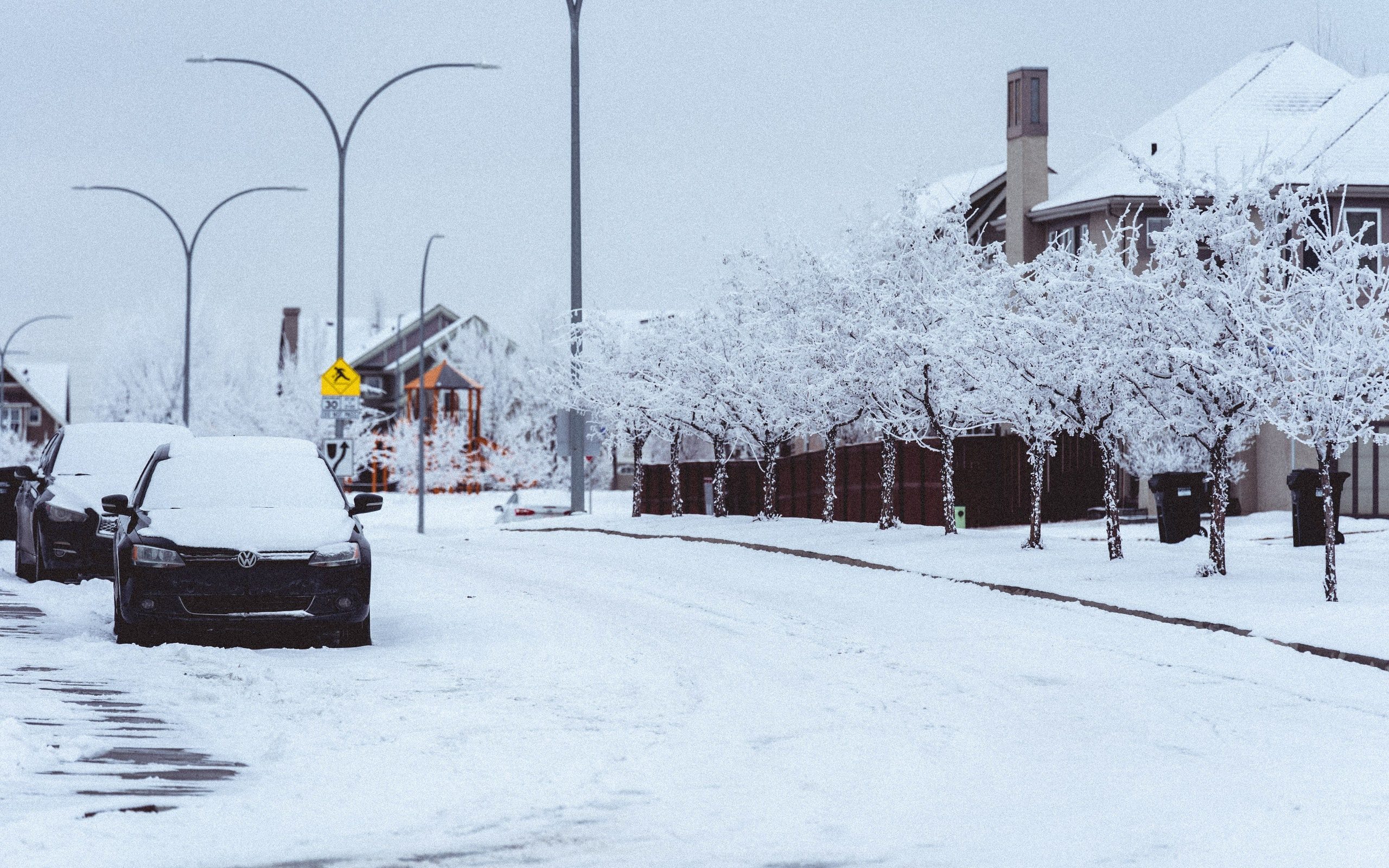 A snow-covered street with frosted trees
