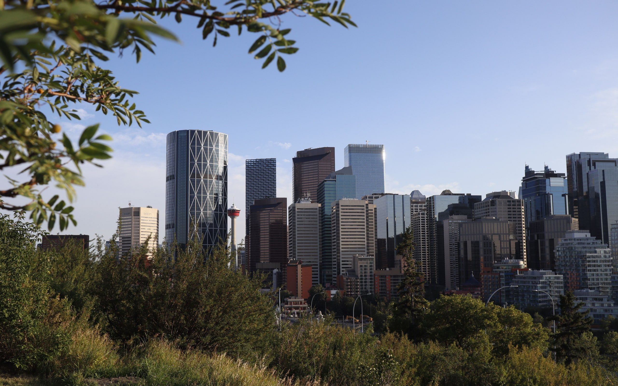 The Calgary skyline on a clear day