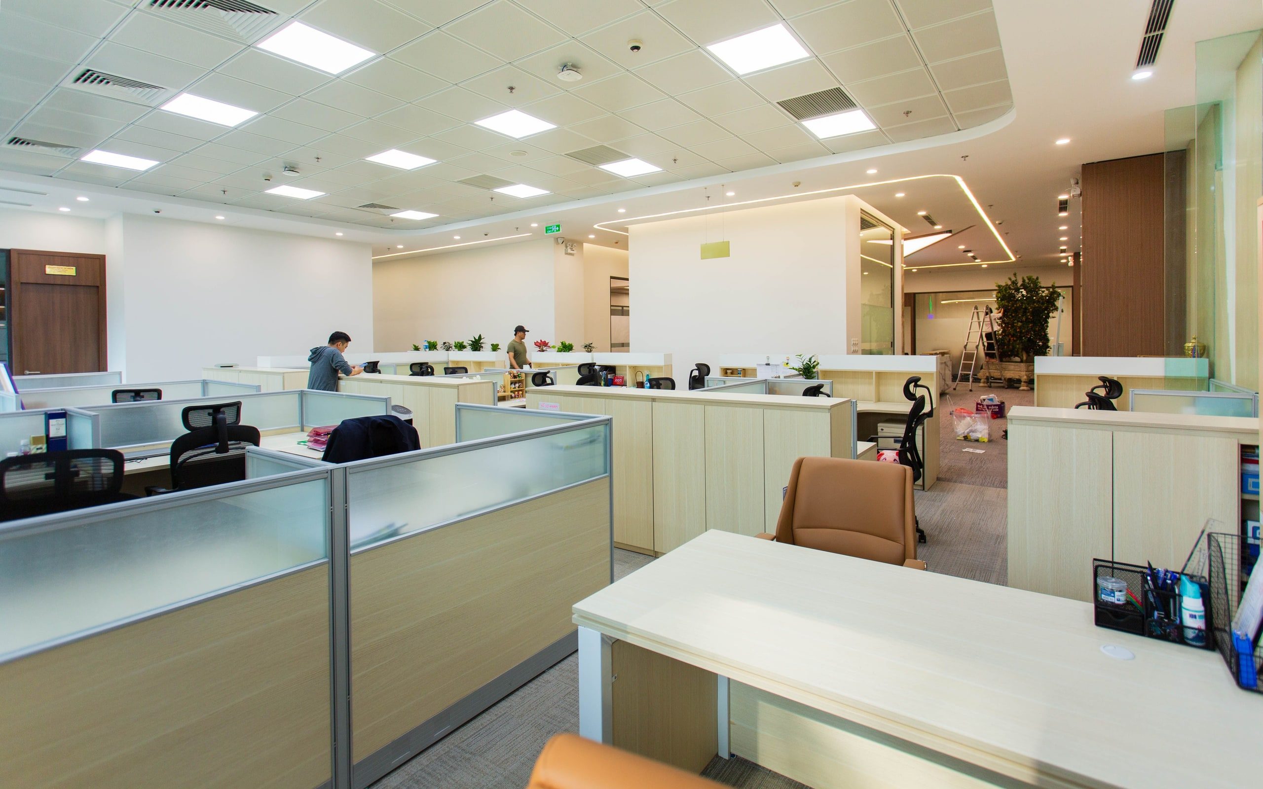 Ceiling services in a commercial interior