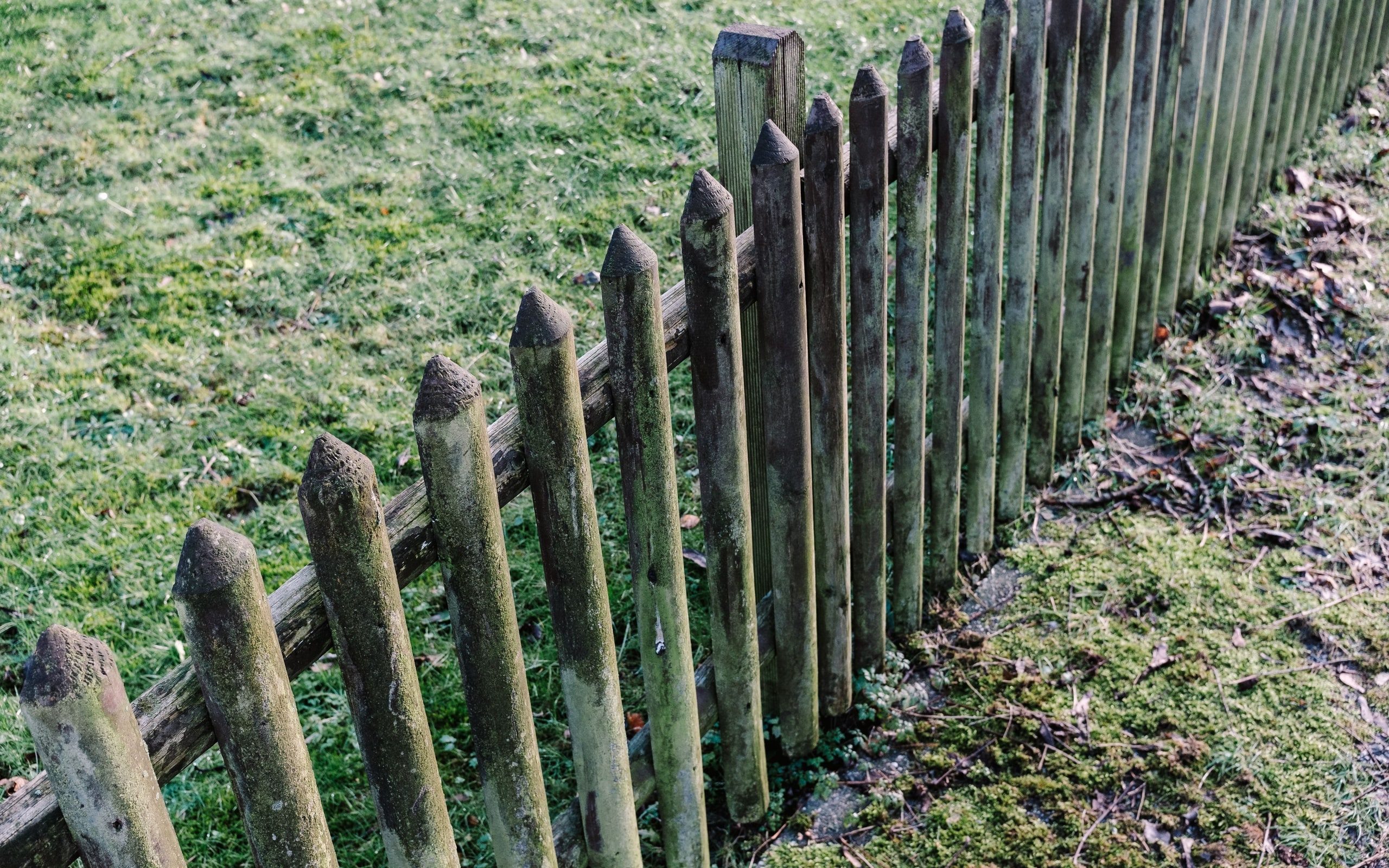 A timber fence along a boundary
