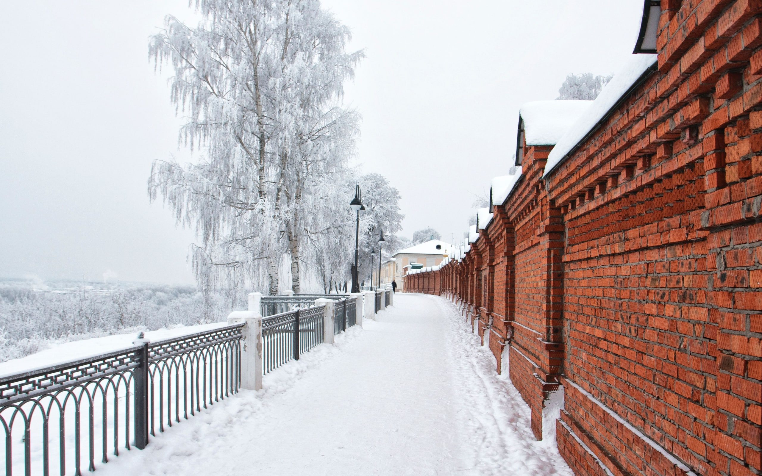 A cleared path through snow